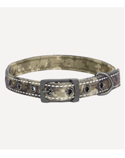Dope clearance dog collars