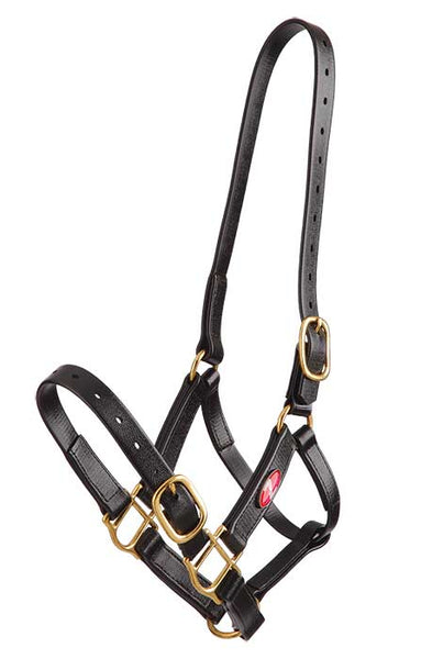 Zilco 25mm PN Headstall