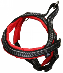 MayChan Classic T-Harness