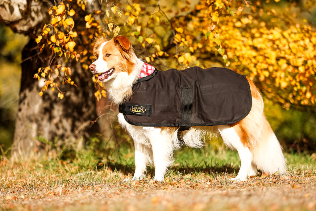 Double Hill Oil Skin Dog Coat