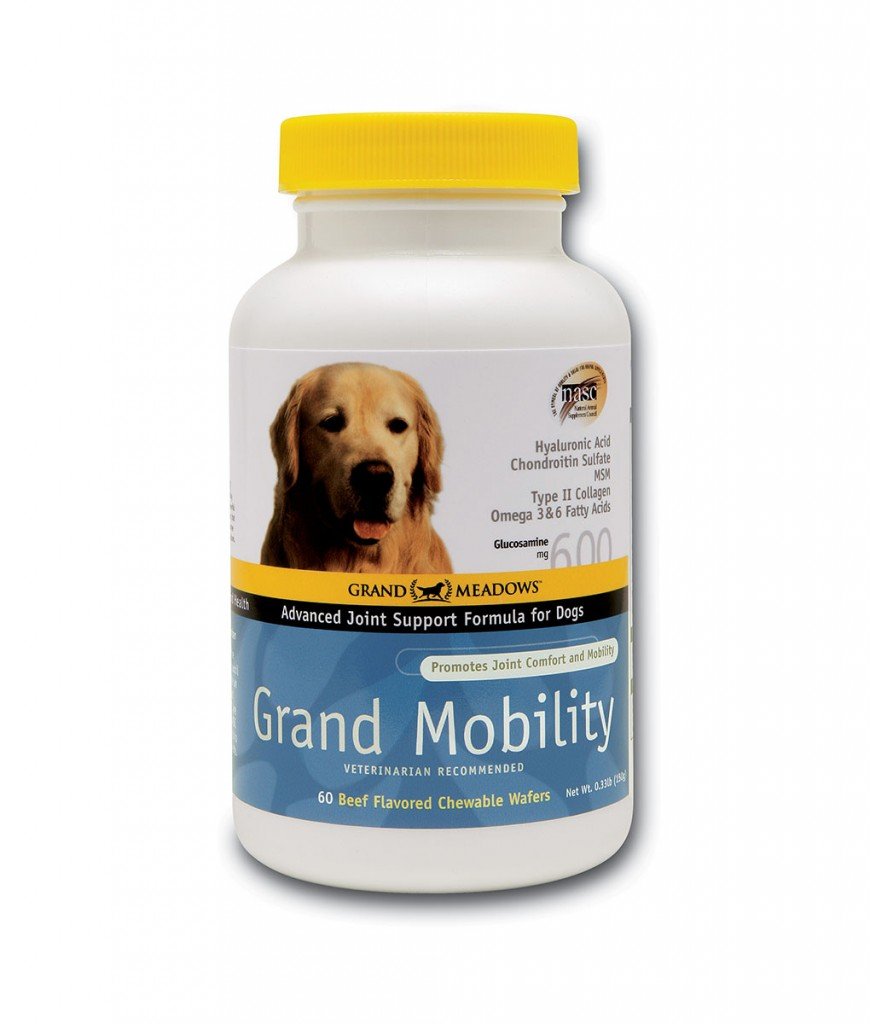 Grand Meadows Grand Mobility