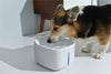 Dogness Smart Fountain 2L