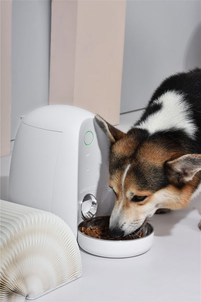 Dogness Smart Feeder Mini