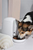 Dogness Smart Pet Feeder Mini