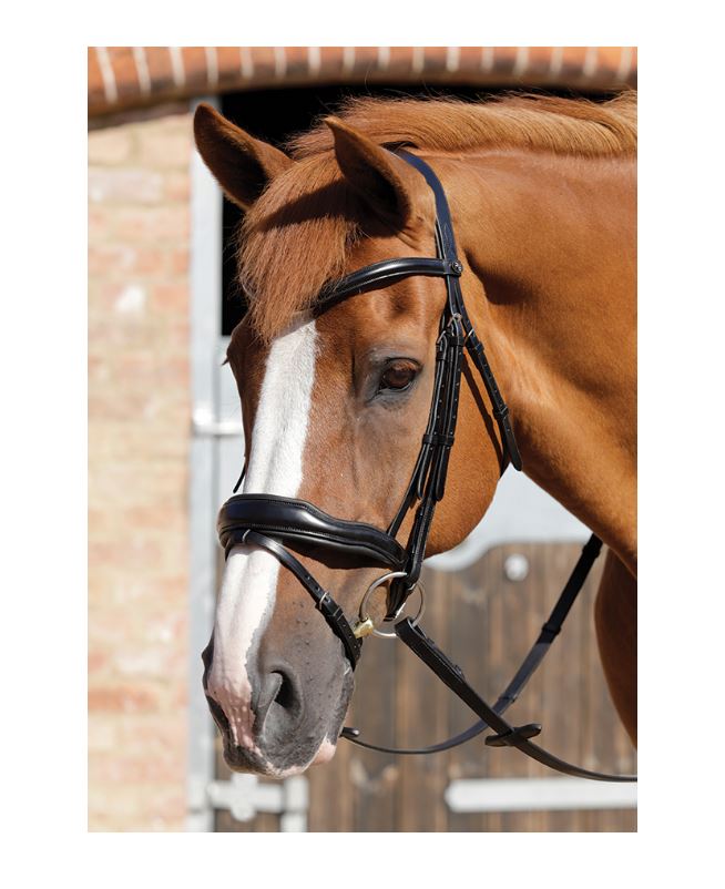PE Rizzo Anatomical Snaffle Bridle with Flash