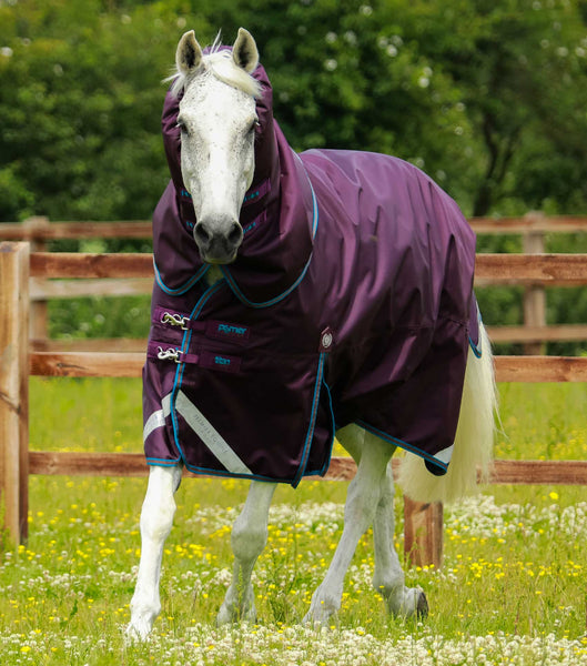 Titan Storm 200g Turnout Rug with Snug-Fit Neck Cover